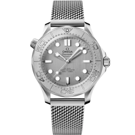 Omega Seamaster Diver 300M 210.30.42.20.06.002